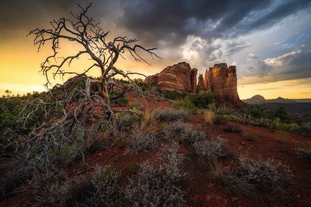 Todd_Frame's tweet photo. Light rain + sunset = 🔥🎉🕺🏻 Sony A7RIII, 12-24mm, f/11, 1/30, ISO 100
#sonyalpha #sony1224g #sonyimagegallery #sedona #sedonaescape #sedonaprime #southwestisbest #arizonahighways #westbysouthwest #igsouthwest #instagramaz #azfamily #earthofficial #mad… https://t.co/sv5NNkEmhf https://t.co/KzZ9OmS2Id
