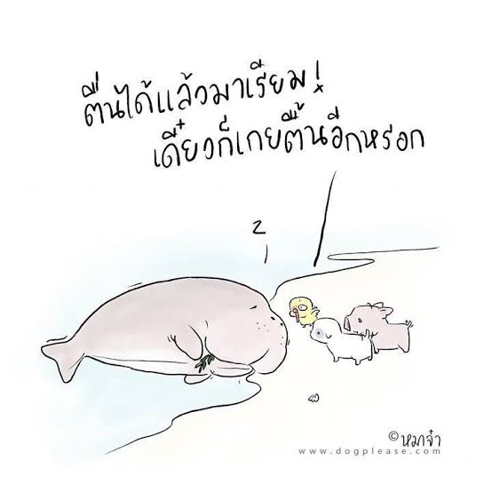แม่งูเอ๋ยยย tweet media