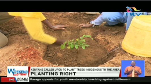 ntvkenya's tweet photo. We only have 10 years to meet international climate targets that require reforestation of 1.35 million square miles of the earth’s surface.
Plant trees indigenous to the area.
#NTWeekendEdition https://t.co/uxaSX5cpxl