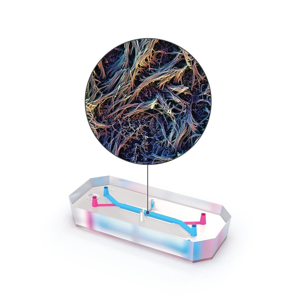 emulateinc's tweet photo. We're excited to announce the launch our Airway Lung-Chip and Alveolus Lung-Chip Enabled Models. Read the guidelines and relevant publications: https://t.co/yyARZOQXgp
#OrgansOnChips #lung #lungmodeling #lungdisease #lungcancer #COPD https://t.co/A0aEXpLyB9