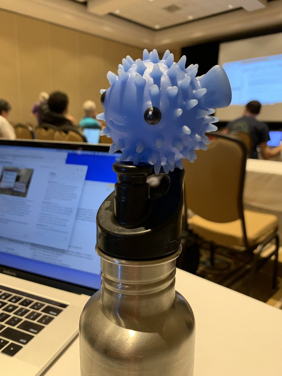 merrdiff's tweet photo. Homeward bound after a fun and productive week at #lsst2019. Here's a few highlights from my travel friend ("fish," chosen by my kid to tag along). https://t.co/YbP5nVNvti