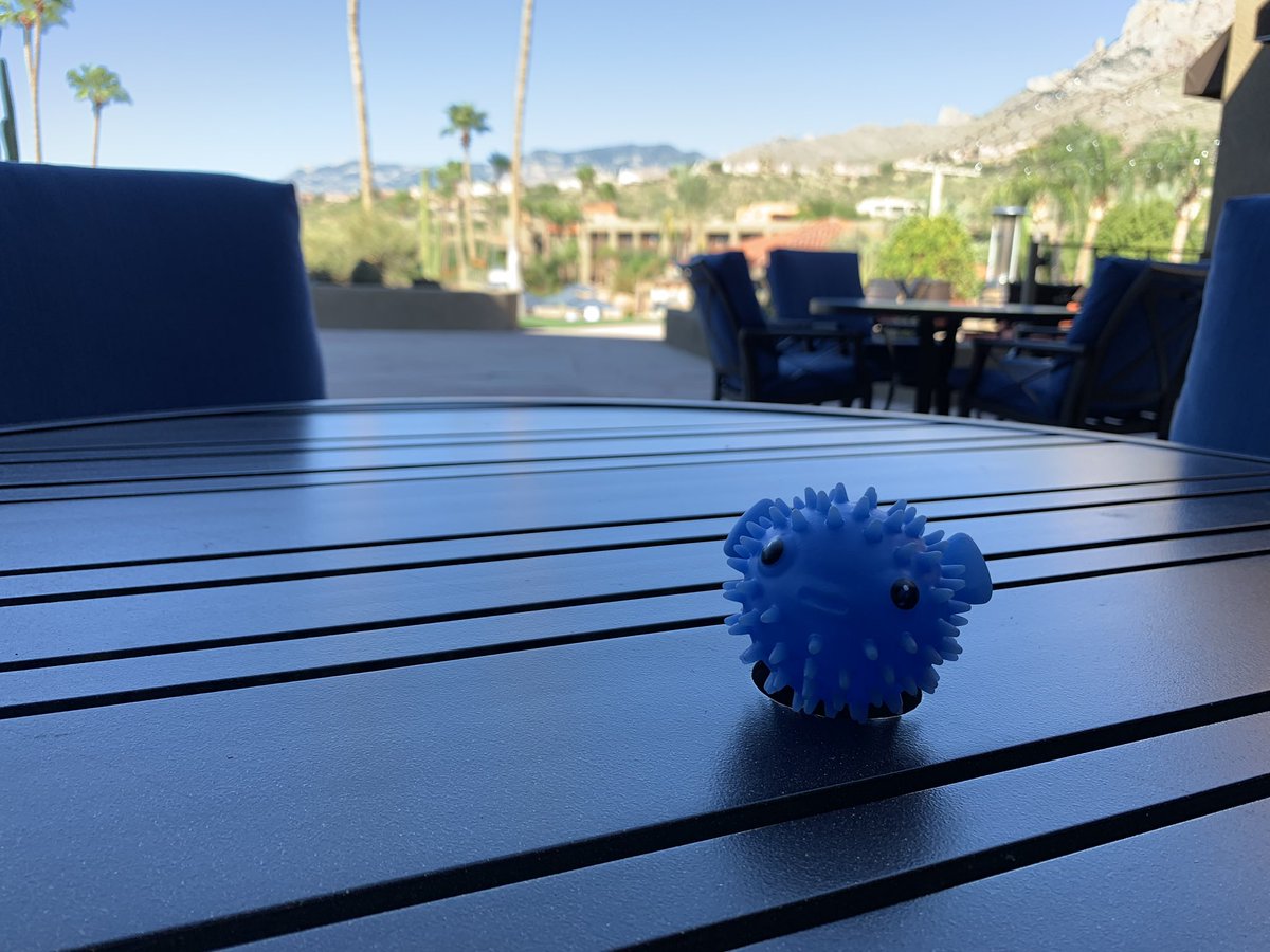 merrdiff's tweet photo. Homeward bound after a fun and productive week at #lsst2019. Here's a few highlights from my travel friend ("fish," chosen by my kid to tag along). https://t.co/YbP5nVNvti