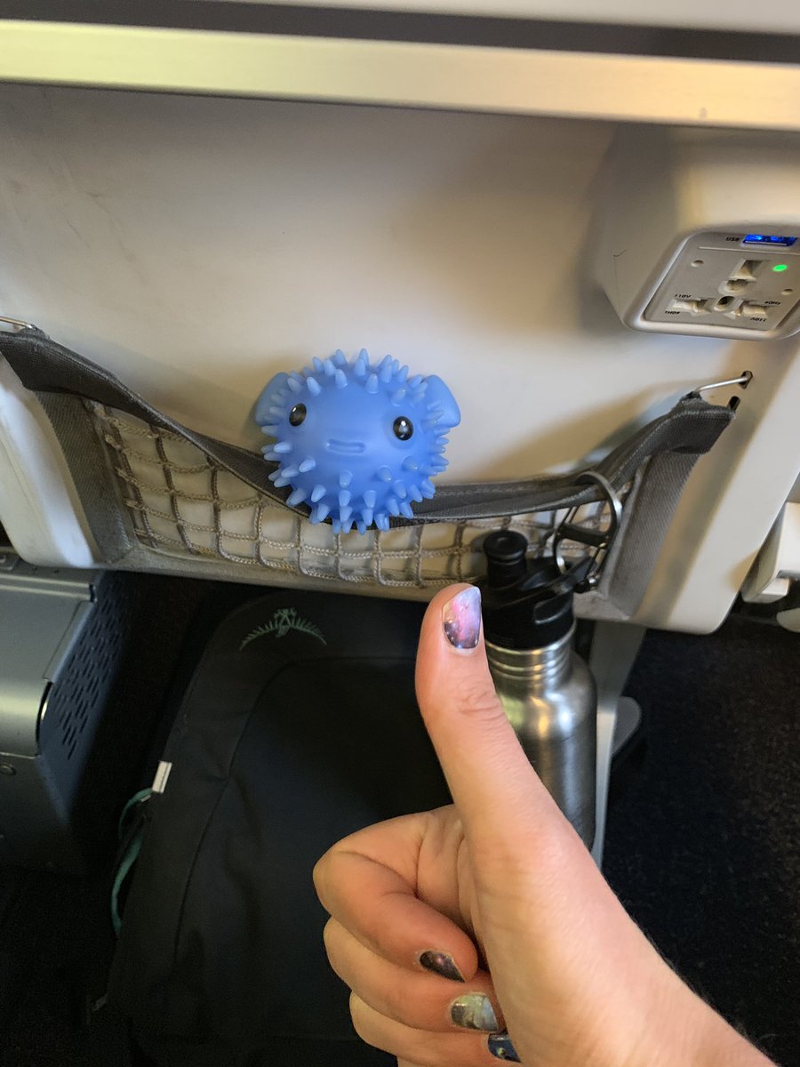 merrdiff's tweet photo. Homeward bound after a fun and productive week at #lsst2019. Here's a few highlights from my travel friend ("fish," chosen by my kid to tag along). https://t.co/YbP5nVNvti
