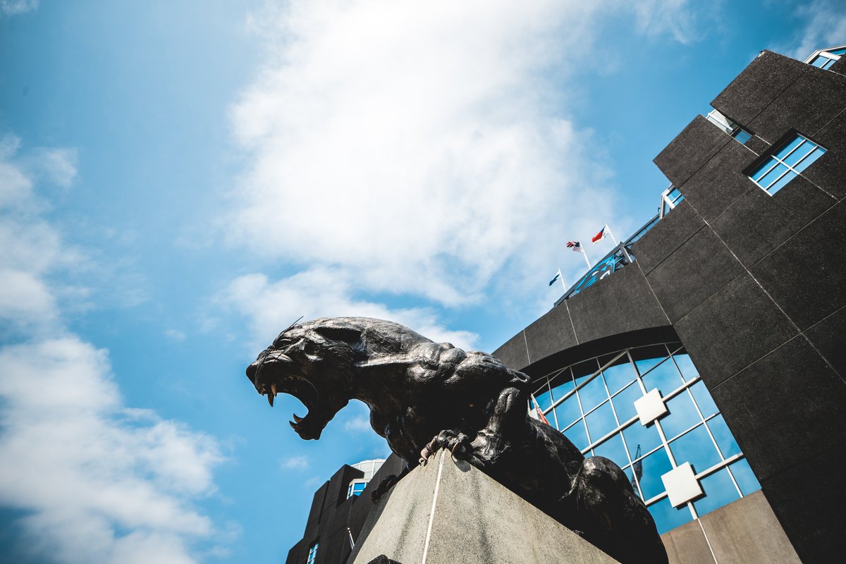 Panthers tweet picture