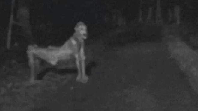 GhostFactoryInc's tweet photo. Skin Walkers: In Navajo culture, a skin-walker (Navajo: yee naaldlooshii) is a type of harmful witch who has the ability to turn into, possess, or disguise themselves as an animal. The term is never used for healers. #navajo #skinwalkers #pranormal #demonic #demonicpossession https://t.co/9VAg7jnVcL