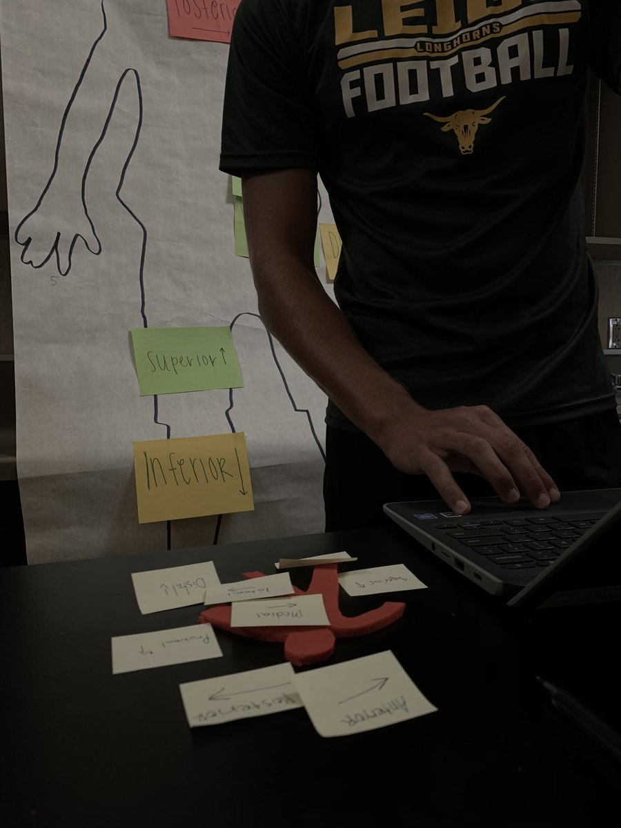 LHS46Jackson's tweet photo. Anatomical positions day! @Leigh_CUHSD @mycuhsd https://t.co/ErduBvkmlv