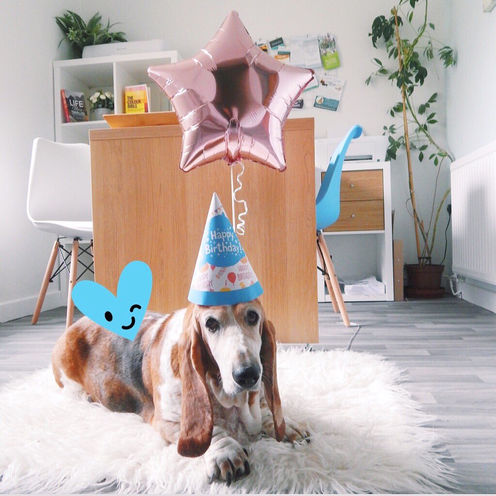 CRJ_Design's tweet image. Missy our furry assistant is 10 today! She doesn’t look very pleased about it 🤭 Happy Birthday Missy!