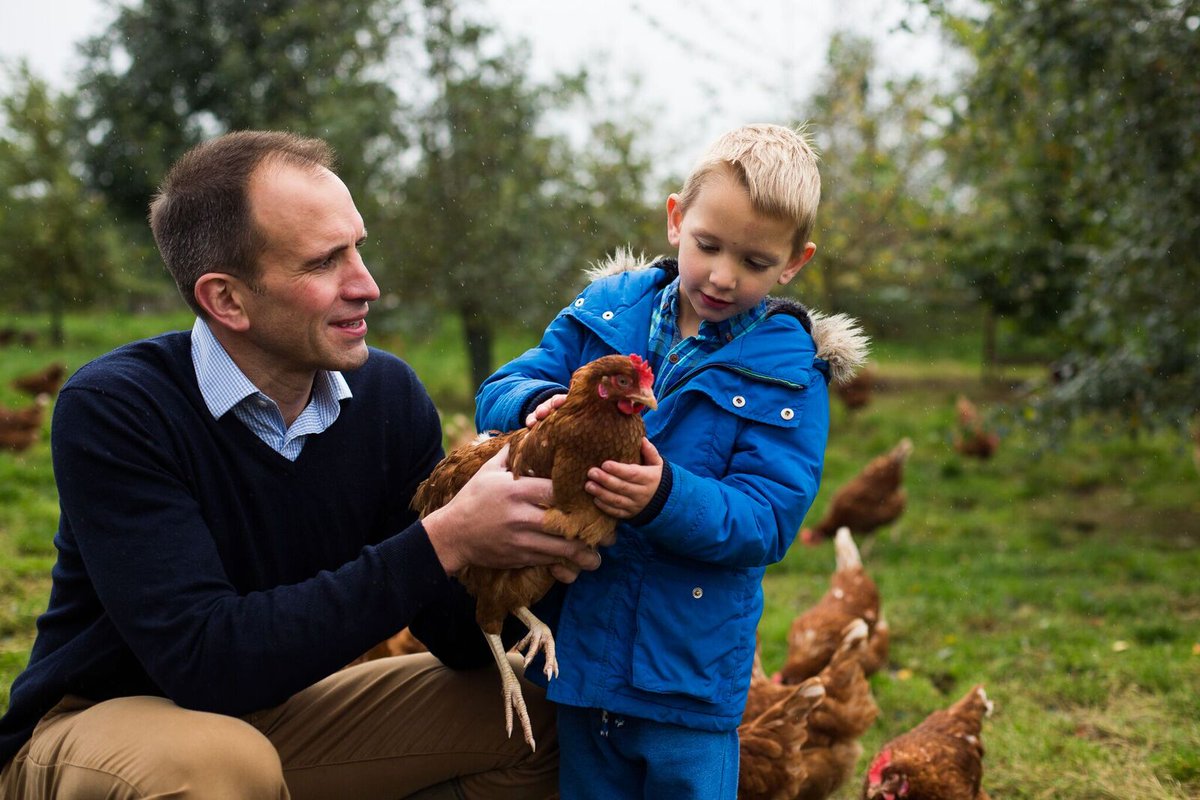 Sapling Home Farm tweet media