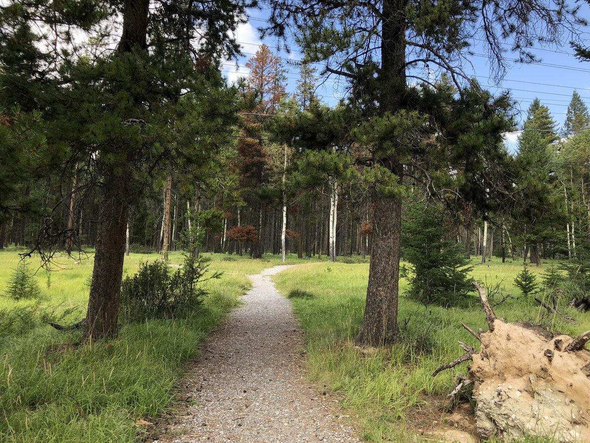 Denise13F's tweet photo. Yday was my last full day in Banff. I decided on trail running &amp; ran 6.16miles &amp; walked 2. Beat @Tim13S in scrabble &amp; enjoyed an evening date downtown Banff. #earthathon #RunningOnHope #JustOneSmallStepataTime #MentalHealthAwareness #CPTSD #PTSD #EndTheIgnorance
#EndTheStigma https://t.co/38aUqSWwra