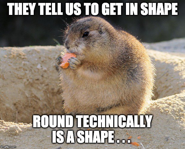 MuscleUpMktg's tweet photo. Happy #NationalTellAJokeDay 🤣🙊We thought this might give you a chuckle 😉I mean, round IS a shape...🤷‍♀️

#FitnessHumor #MuscleUpMarketing #DigitalMarketing #DirectMail #FitnessMarketing #Health #Gyms #FitnessCenters https://t.co/Uc3aoDonyQ