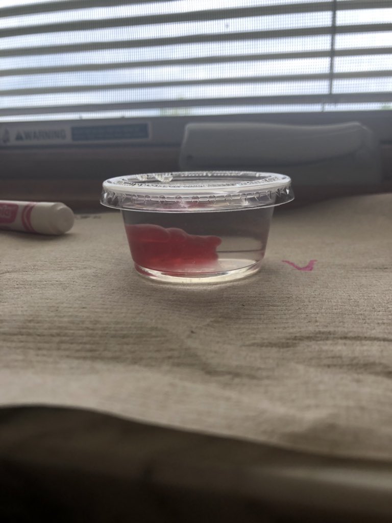 MrSowersSCE's tweet photo. How will gummy bears react when placed in baking soda, water, and vinegar? This lab is by far my favorite for introducing the scientific method! @SCECougars @HSE_21 #incubatingawesome https://t.co/rK9kvG8ihg