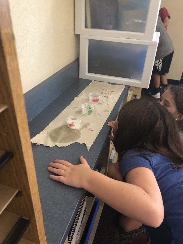 MrSowersSCE's tweet photo. How will gummy bears react when placed in baking soda, water, and vinegar? This lab is by far my favorite for introducing the scientific method! @SCECougars @HSE_21 #incubatingawesome https://t.co/rK9kvG8ihg