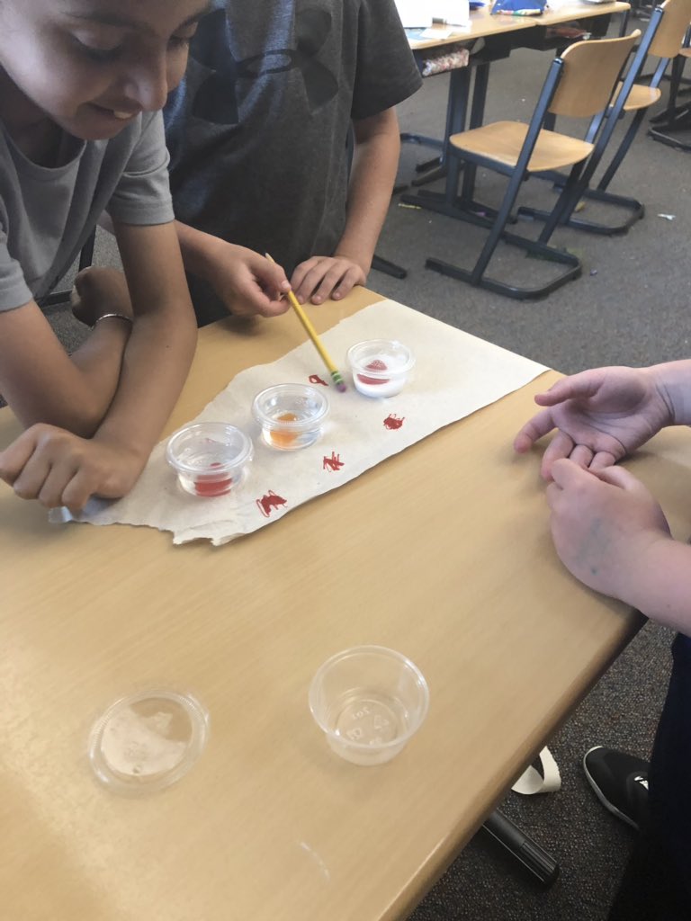 MrSowersSCE's tweet photo. How will gummy bears react when placed in baking soda, water, and vinegar? This lab is by far my favorite for introducing the scientific method! @SCECougars @HSE_21 #incubatingawesome https://t.co/rK9kvG8ihg