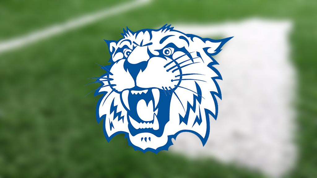 PSM1Team's tweet photo. 🏈2019 High School Football Preview: Whitko Wildcats. https://t.co/RKWmPSswON https://t.co/MyDiYgMwCy