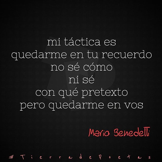 TierradePoetas's tweet photo. Mi táctica...
#MarioBenedetti #TierradePoetas #LetrasdelSur #poesia #letras ============================ #TierradePoetas #LetrasdelSur https://t.co/6Nz1fgbGyU
