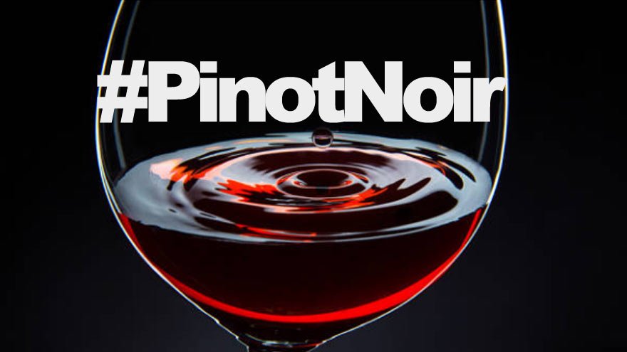 Vinos: 12 Pinot Noir de diferentes regiones del país para celebrar su día mundial 🍷🍇👌📲iprofesional.com/vinos/298064-v… #vinos #PinotNoir #lifestyle #vinho