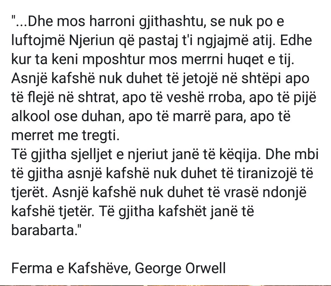 Ari Vlonjati (@ari_vlonjati) on Twitter photo 