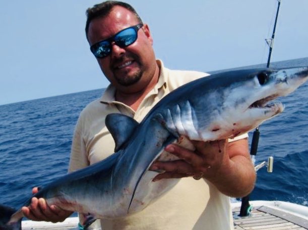 arturooislas's tweet photo. Me acabo de enterar de algo tristísimo @SEMARNAT_mx acaba de hechar abajo la petición de apoyo a un proceso que llevo años para proteger a los tiburones Mako de la pesca desmedida e introducirlos a la lista cites para su protección, que culos, les dio miedo el tiro por intereses https://t.co/M2uIHWLiMO