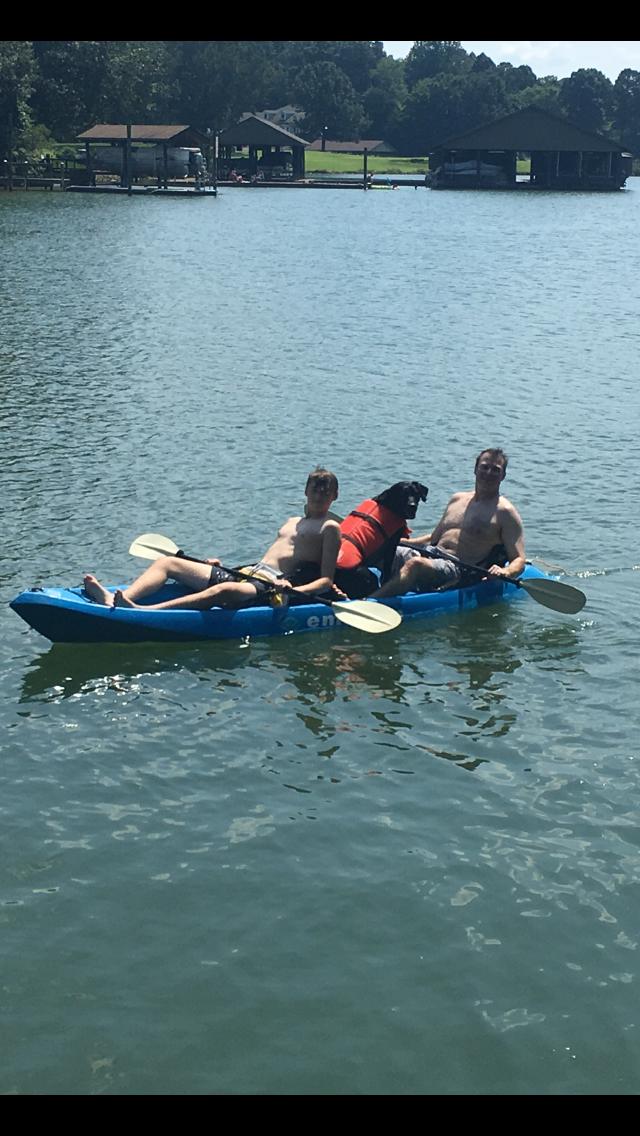 lunaclover5's tweet photo. #imonaboat #dogsoftwitter #dogcelebration #SafetyFirst https://t.co/RHdGZ9WDSD