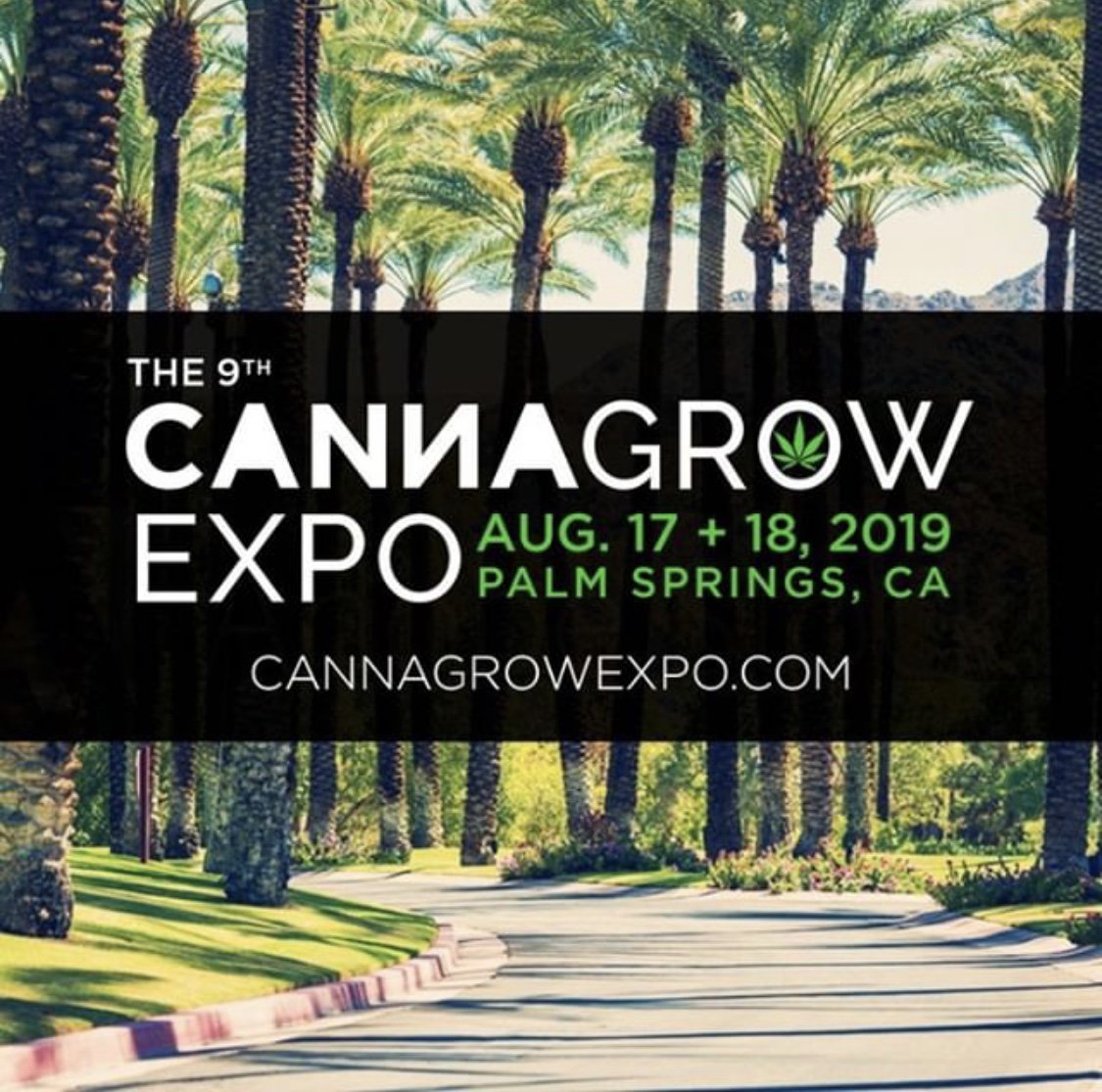 IndivaAdvisors's tweet photo. Need help growing your cannabis business? Our CPAs can help. Come visit us at Cannagrow Expo this weekend Aug 17 + 18 in Palm Springs. Stop by booth #317! @CannaGrow Expo #indivaadvisors #cannagrowexpo #booth317 https://t.co/05hjESRXGj