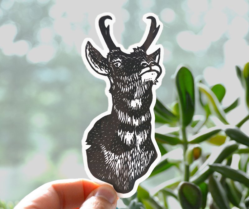 HelloHeyHeather's tweet photo. My full collection of stickers made from original linocut prints! I'm so happy with how they look together and can't wait to add more. (Find them here: https://t.co/UpvMfBeoiN) https://t.co/Lfuf7vHPyi