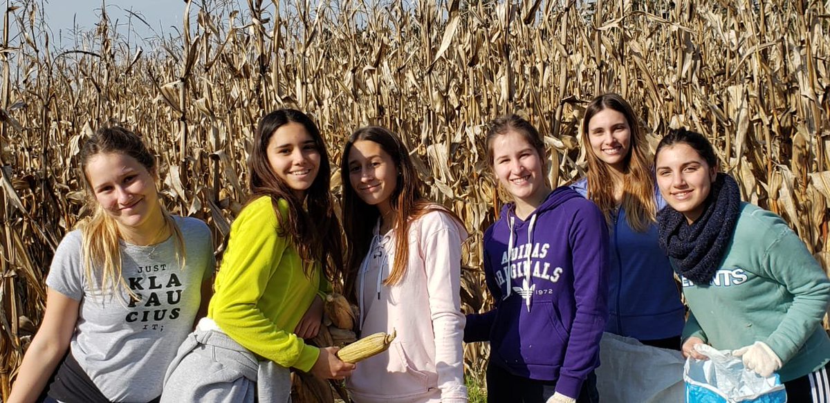 Impresionante La Chocleada de 25 de Mayo. Felicitaciones a todos!!! Participaron 140 chicos que con mucho orgullo y corazón se cosecharon todo. 💪Gracias a todos por el esfuerzo y el compromiso, gracias por #serparte
<a href="/ateneosr25/">AteneoSR25</a>

#valoresquealimentan #MovilizaRSE #cargill