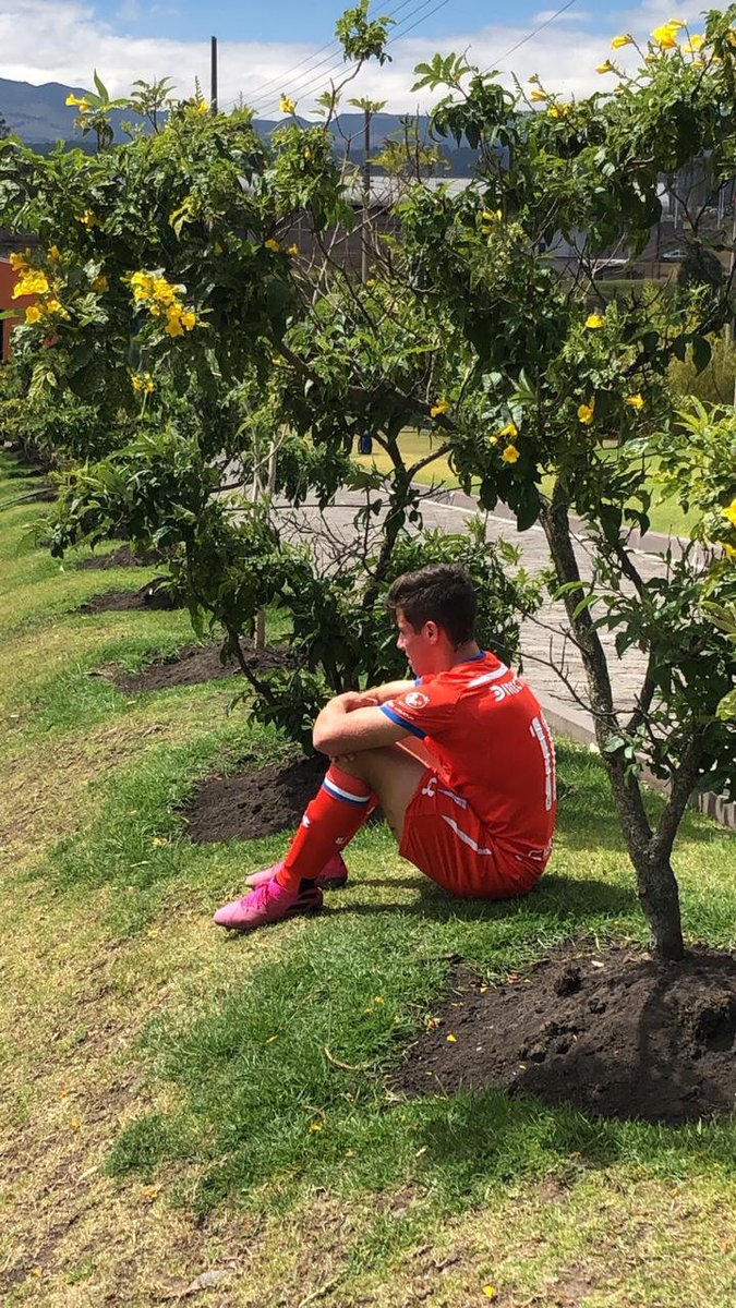 Independiente del Valle tweet media