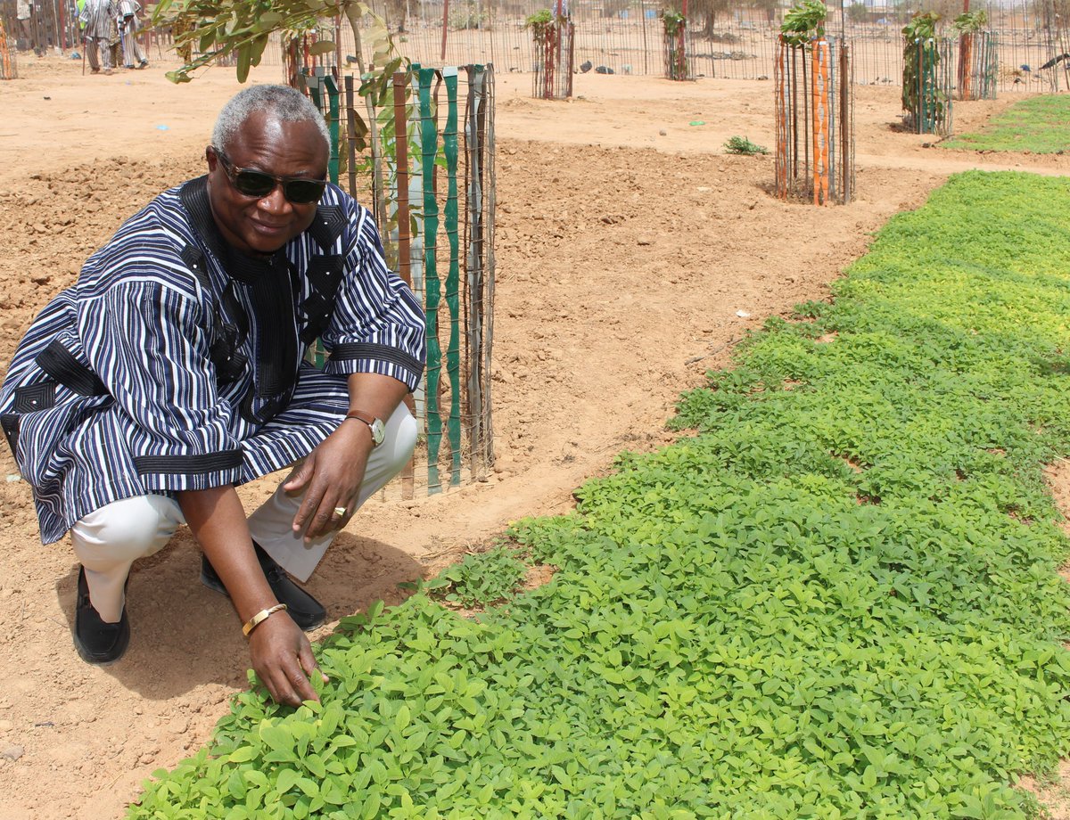 Le Maire de la ville de Ouagadougou Monsieur #Armand_Roland_Pierre_BEOUINDE convie l'ensemble des citoyens de la capitale à la journée communale de reboisement de la ceinture verte, sise route de Kongoussi derrière le grand séminaire de Kossoghin, ce samedi 17 août 2019 à 8h.