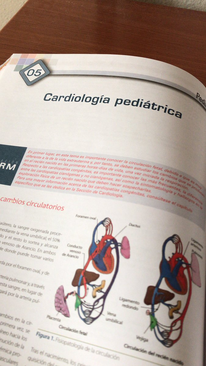 iAle_stuff's tweet image. #Cardiopedia