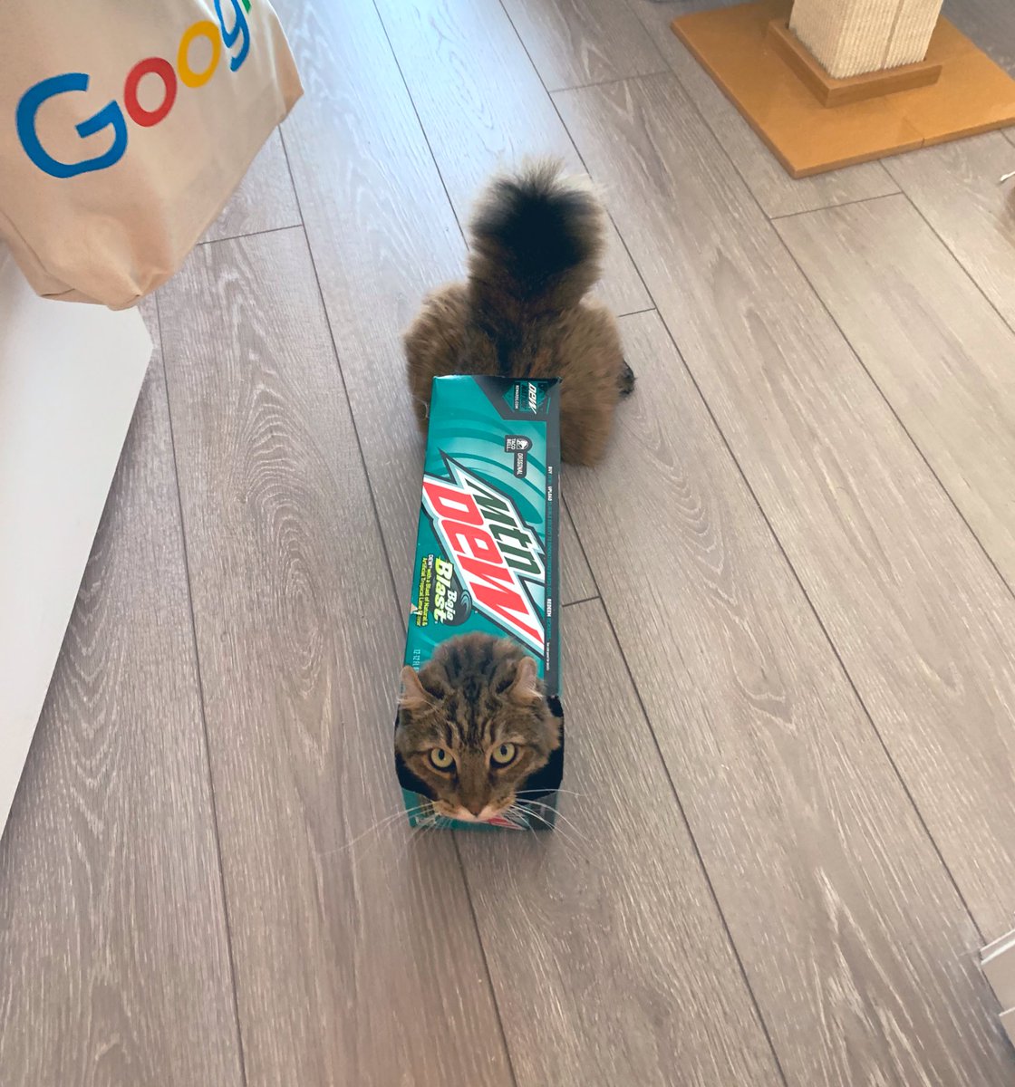 LincNGus's tweet photo. DO THE SODA https://t.co/Mp3zmtGm9G