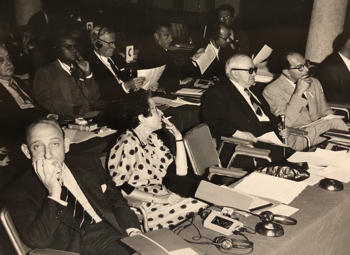 Daniel Steinmetz-Jenkins tweet media