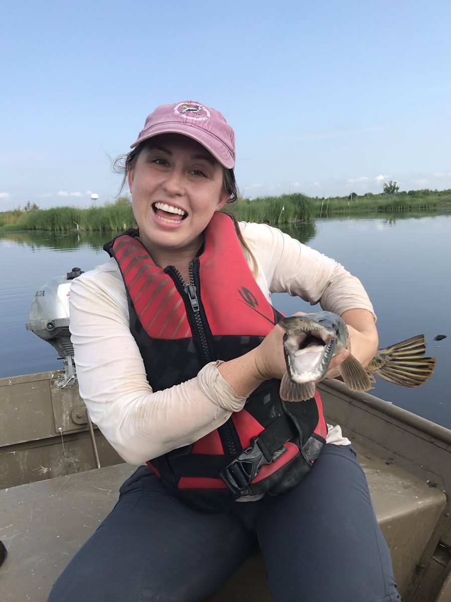 Atfredri's tweet image. I only hang out with fish. #GarLab