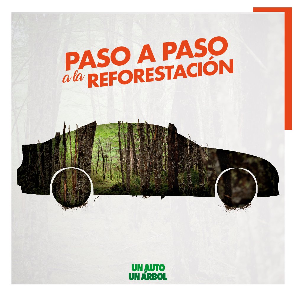 Movicenter tweet media