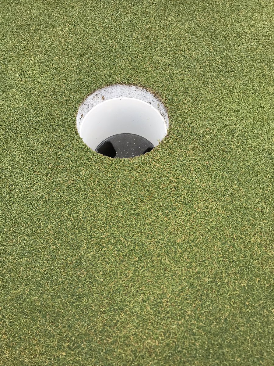Darrickgolfirr's tweet photo. I noticed today @BMWchamps how well the professionals take care of the hole. 70 players used this hole (and they all putted out)—it looks pristine and it heals much faster.  Want tour greens?  Players need to take care of them like the pros do.  #fixballmarks #mindthelip https://t.co/4zuNFH0E7X