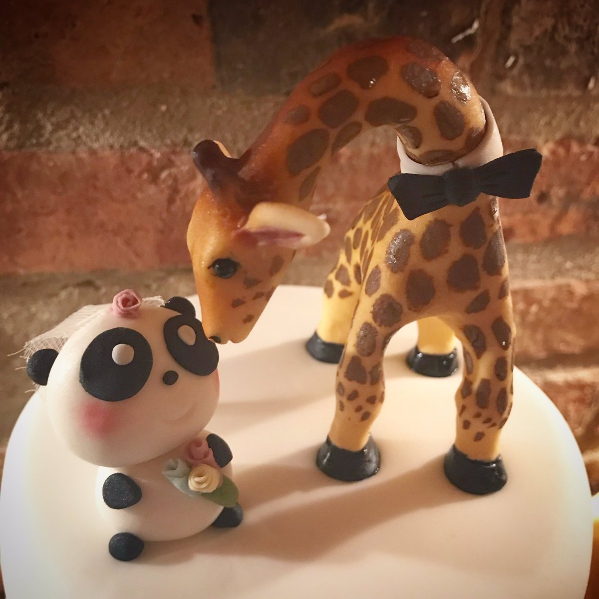 MrCakeUK's tweet photo. It’s been a while since I posted - apologies - there’s been a lot going on at mrcake HQ, including a possible new direction... but more of that later. For now, I hope you feel love like these guys 🍰💘 https://t.co/xZQdB5aJu4