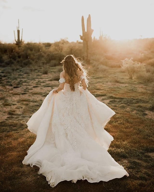 ArizonaWeddings tweet media