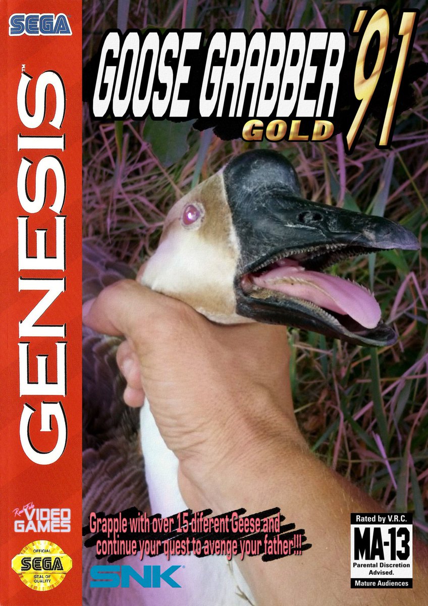 FakeVideoGames_ tweet picture