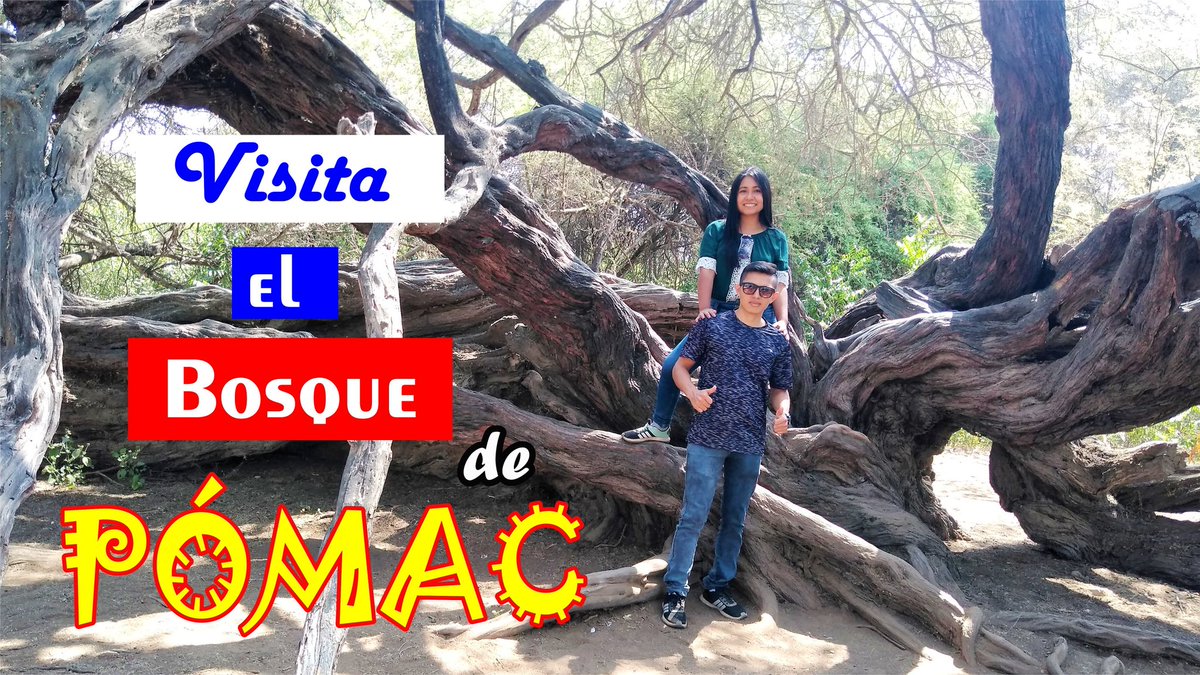Infiltra2JL's tweet photo. En el Perú 🇵🇪 solo hay 4 SANTUARIOS HISTÓRICOS, y uno de ellos se encuentra en #lambayeque y es el #bosquedepomac acompáñanos a conocerlo, mira nuestro video en Youtube ⤵️⤵️
https://t.co/nmDInR4eRS
#travelgram 
#TravelBlog 
#Peru 
#follobackforfolloback https://t.co/XpP3G2guWu