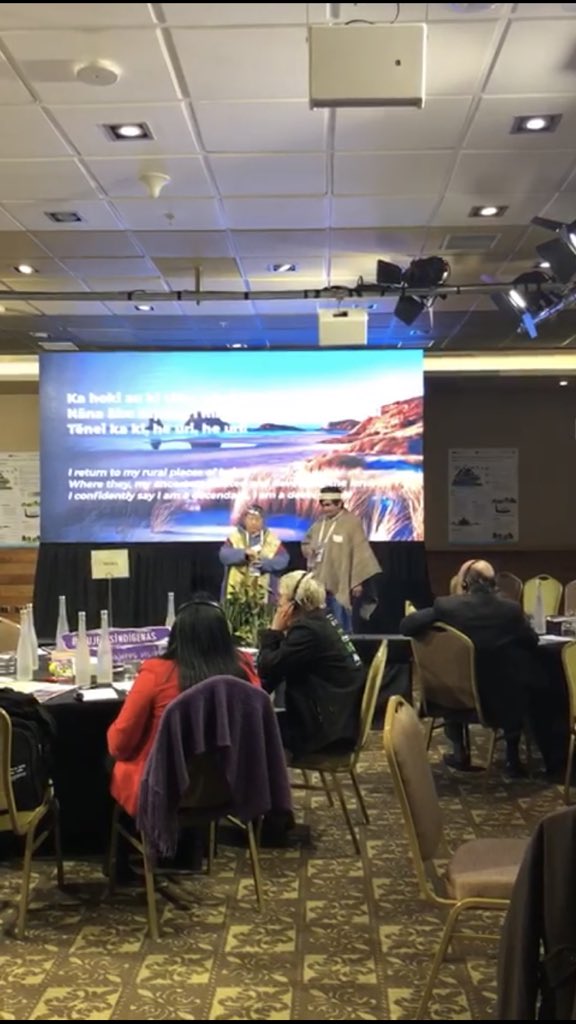 ItiKeri's tweet photo. We were so privileged to have indigenous Huilliche Mapuche representatives Mrs Elizabeth Sandoval Huratado and Mr Perfecto Quinchalef Lefin open our @APECChile2019 indigenous rural development workshop. #foodsecurityweek2019 #indigenouspeoples #indigenousruraldevelopment https://t.co/mi4PtwBi6Y
