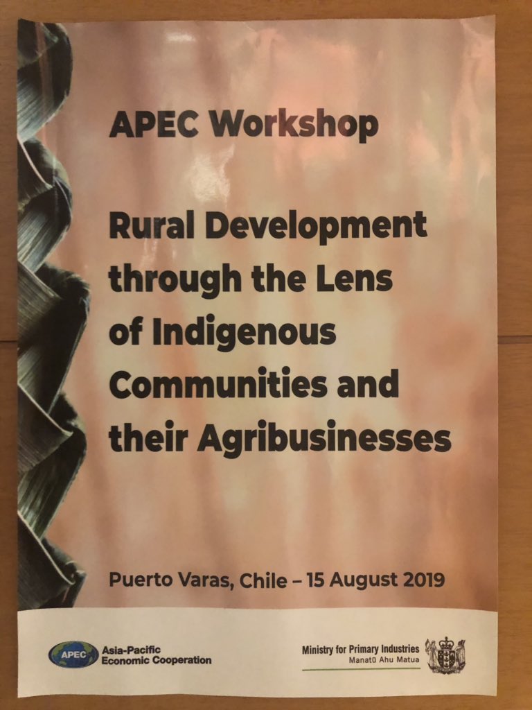 ItiKeri's tweet photo. We were so privileged to have indigenous Huilliche Mapuche representatives Mrs Elizabeth Sandoval Huratado and Mr Perfecto Quinchalef Lefin open our @APECChile2019 indigenous rural development workshop. #foodsecurityweek2019 #indigenouspeoples #indigenousruraldevelopment https://t.co/mi4PtwBi6Y