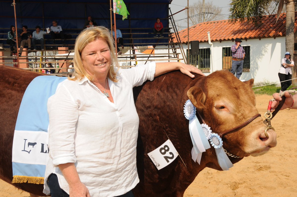 LIMOUSIN, A LA CONQUISTA DEL NORTE ARGENTINO
La Asociación Argentina de Criadores de Limousin (AACL) debuta en Expoagro en La Rural de Corrientes, con 14 animales de 2 cabañas Limousin Argentina. #ExpoagroCorrientes 
👉 expoagro.com.ar/16-08-limousin…