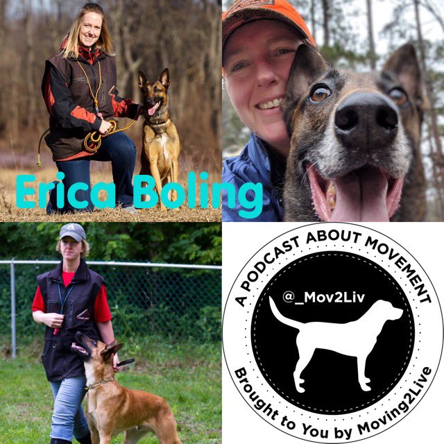 _mov2liv's tweet photo. #ICYMI latest #Moving2Live #podcast features @reutebh interviewing Erica Boling, Owner of Northeast K9 Conditioning. Hear how she’s helping owners & trainers meet the needs of #CanineAthletes
#workingdogs #sportingdogs #k9conditioning #sleddog
https://t.co/pFDxeJ8Rju https://t.co/vpX9dpvnZ4