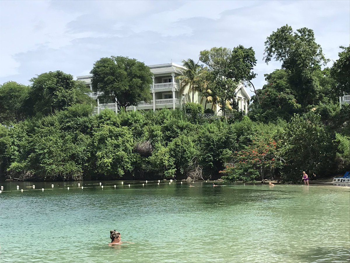 bpolicelli's tweet photo. Summer downtime in Montego Bay!#MustangsSummer ππ―π² https://t.co/0vEM2yEfqA