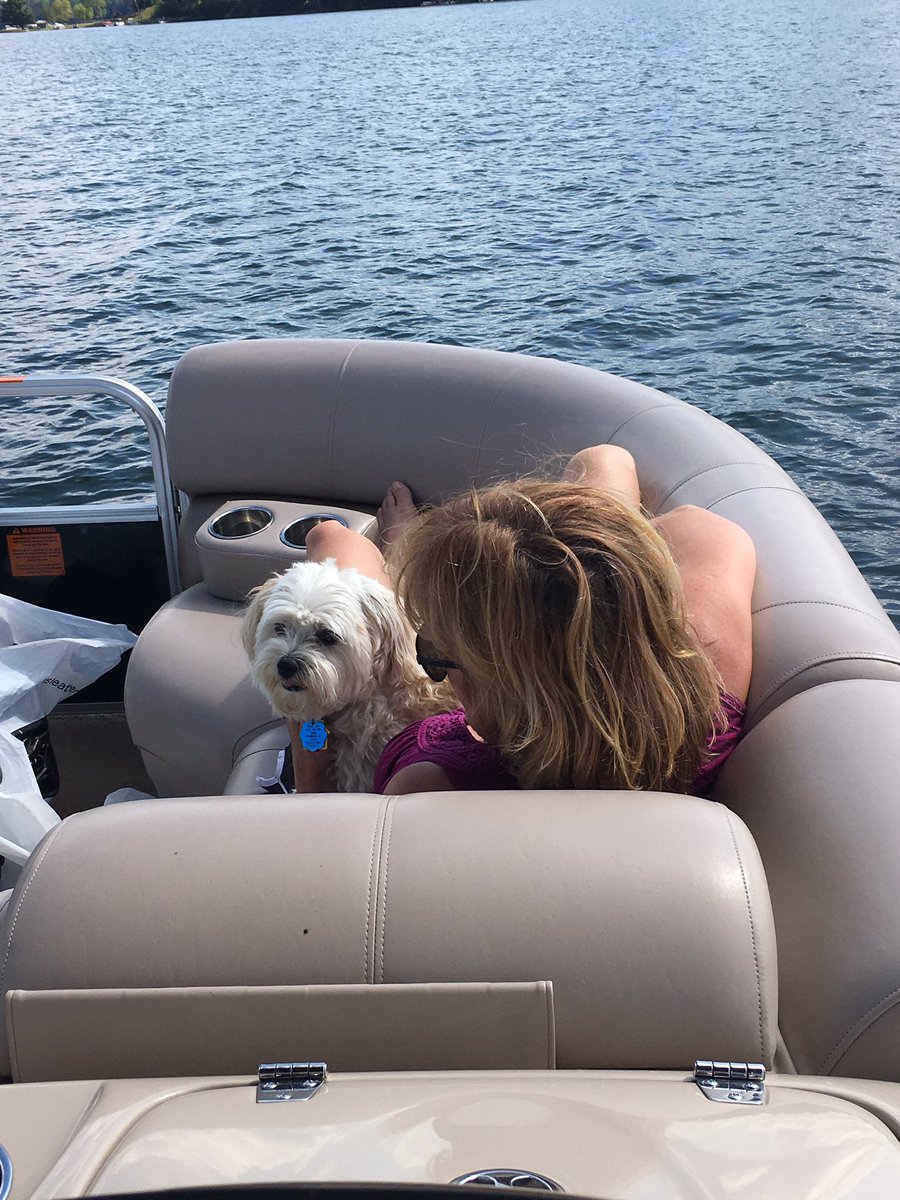 dog_brewer's tweet photo. Please Mom? Can we go back in the water? @SallyBosshart https://t.co/IURWkSLqwt