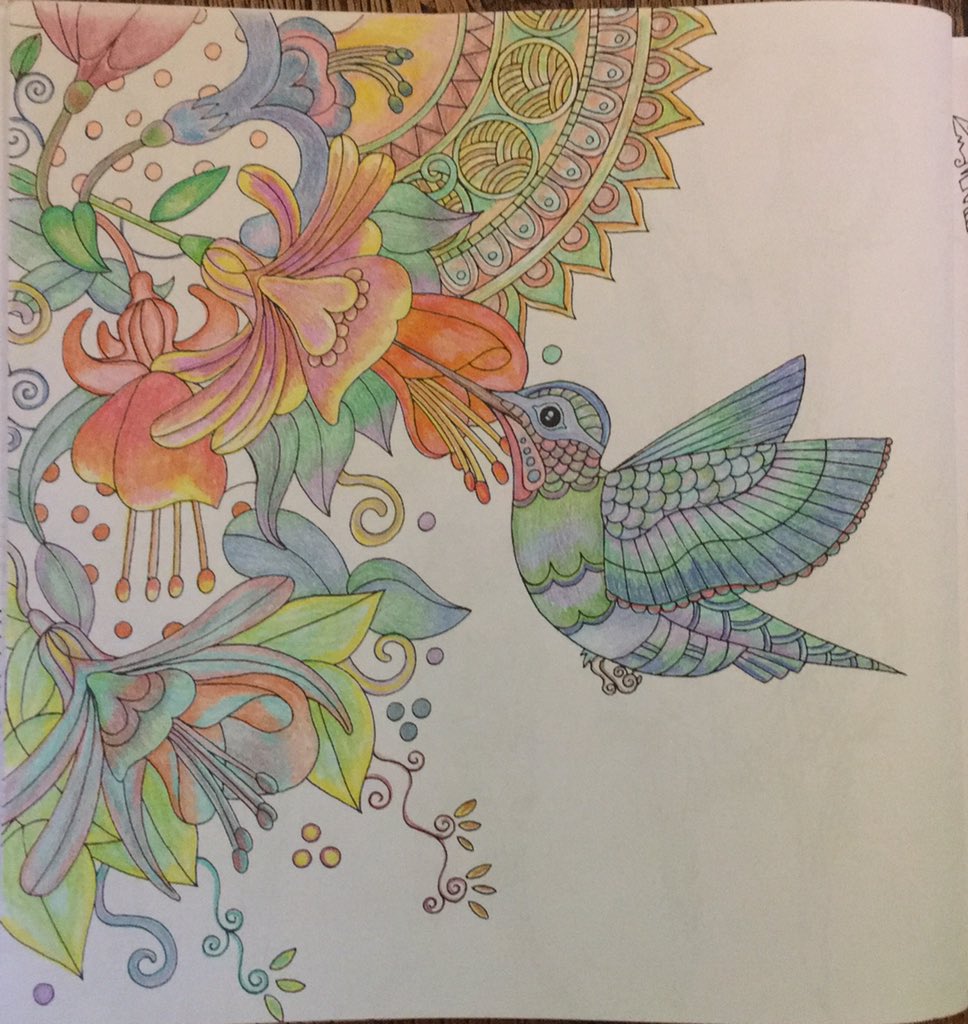 CatharineYogi's tweet photo. Awwww #Hummingbirds π #Colouring #Colours #CreativeColouring #MeditativeColouring #ColourMyWorld #Birds https://t.co/TgcF7ucNU3