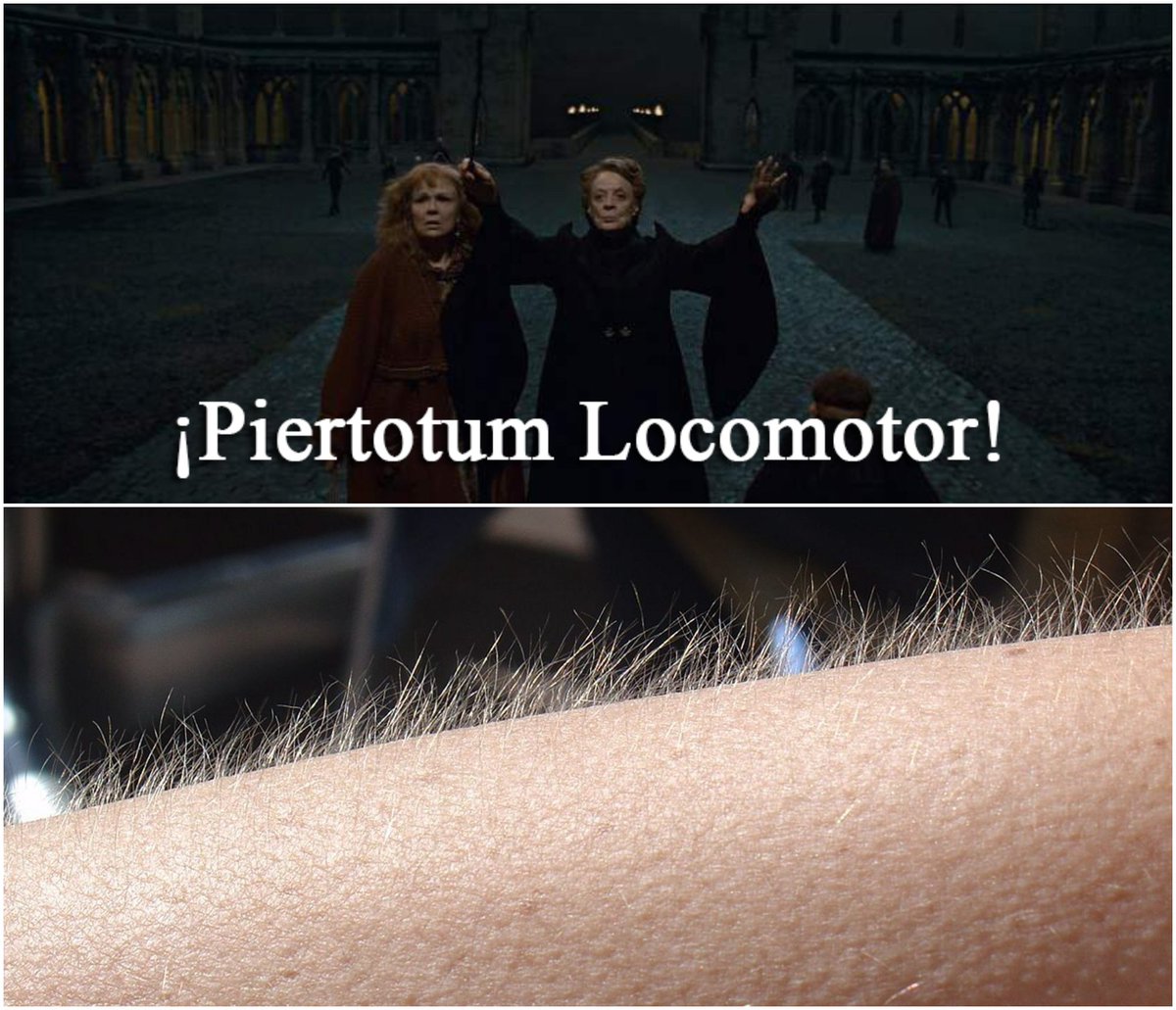 Da igual cuantas veces veas esta escena, tu reacción siempre será esta.