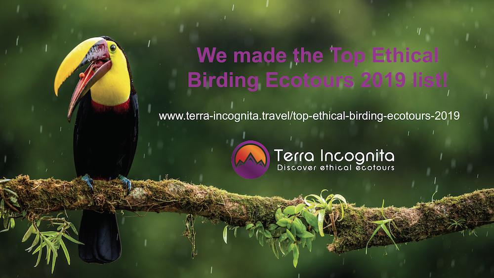 BirdingTo tweet picture