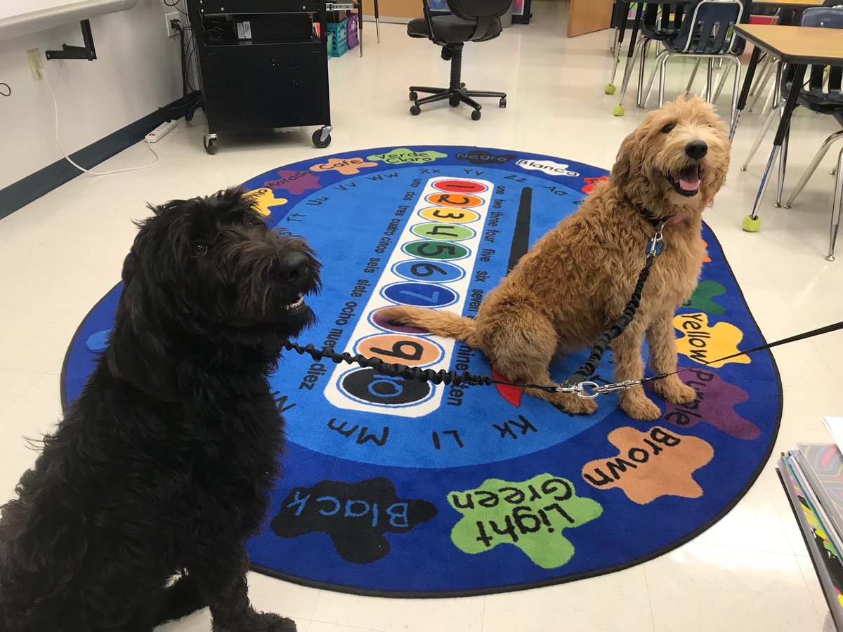Gracie and Ginger- future art students!! ⁦<a href="/daviscfb/">Dale B. Davis Elementary</a>⁩ #cfbisd