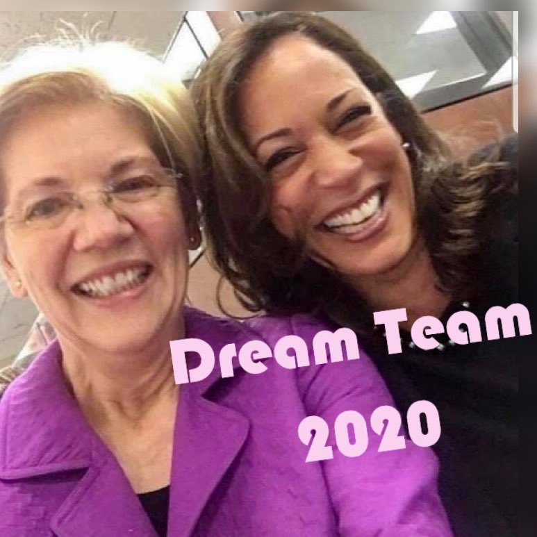 AuthorJoeNBrown's tweet photo. @Analisa_Swan @TexasFourplex Can you imagine having a female Vice President and President? #KamalaHarris2020 #ElizabethWarren2020 #DreamTeam #DreamTeam2020 #VoteBlueToEndThisNightmare #FutureIsFemale #VoteFemale https://t.co/XXPsuA5euw