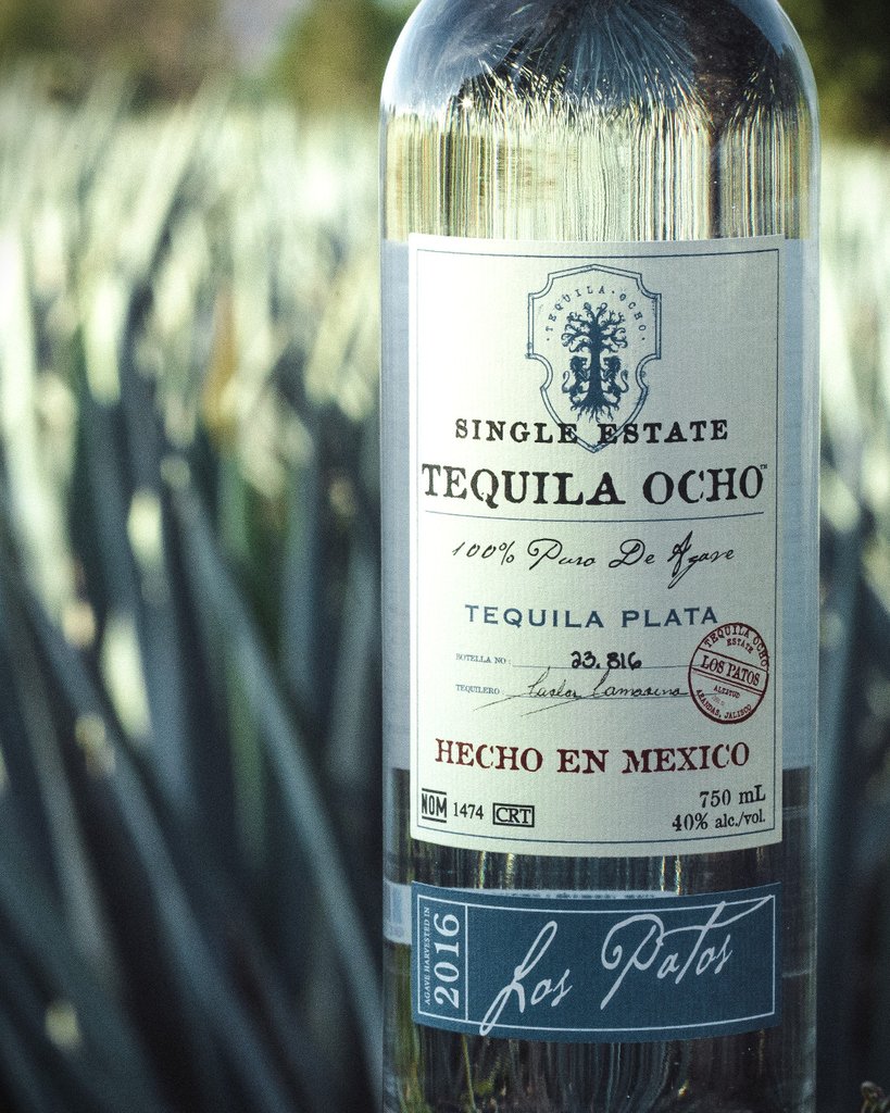 Tequila Ocho tweet media